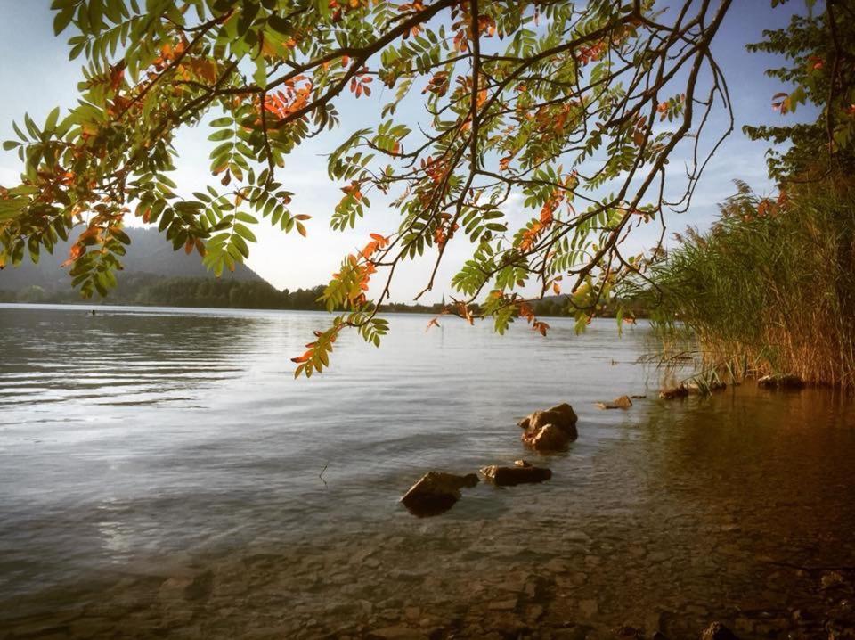 Apartmenthaus Der Johanneshof - Tolle Lage Nah Am See Шлирзее Екстериор снимка